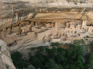 A Ranger In A National Park Is Driving At