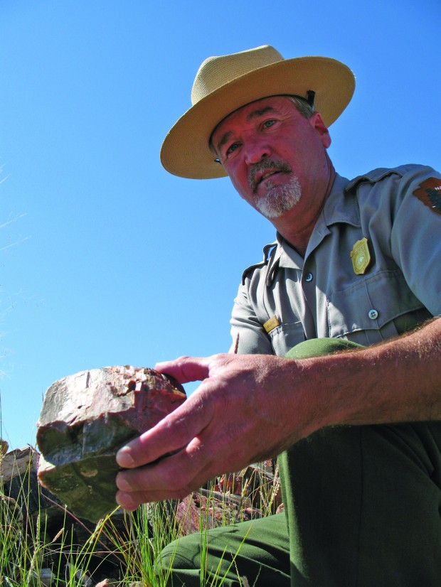 A Ranger In A National Park Is Driving At