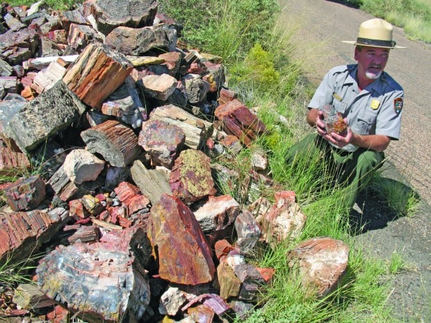 A Ranger In A National Park Is Driving At