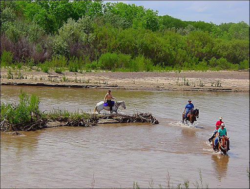 A Ranger Wants To Determine The Height Of A Tree Across A River