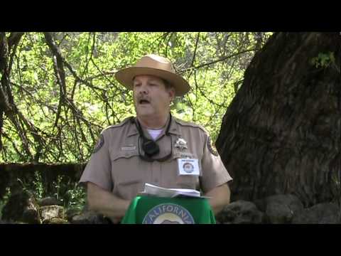 A Ranger Wants To Determine The Height Of A Tree Across A River