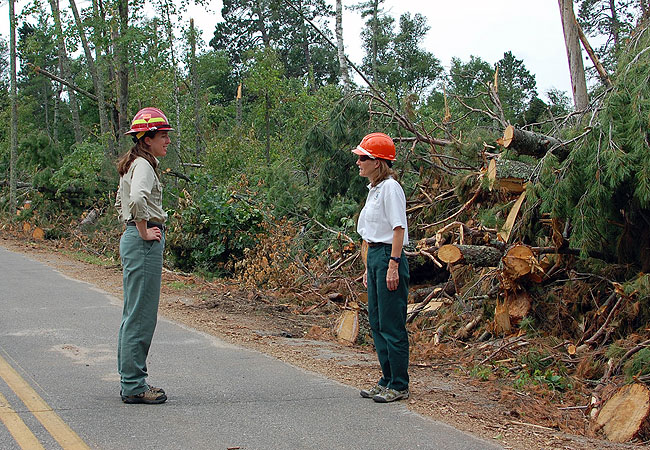 A Ranger Wants To Determine The Height Of A Tree Across A River