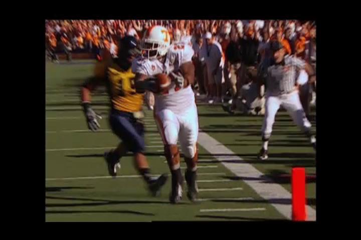 Arian Foster 2012 Highlights