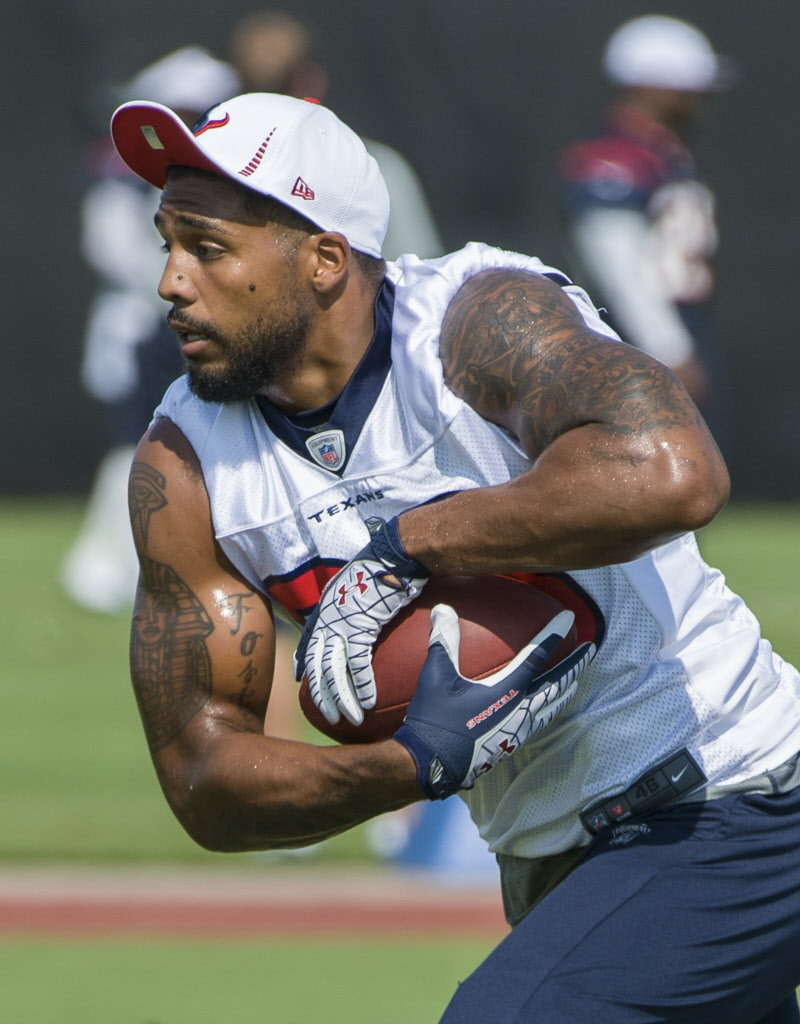 Arian Foster 2012 Season