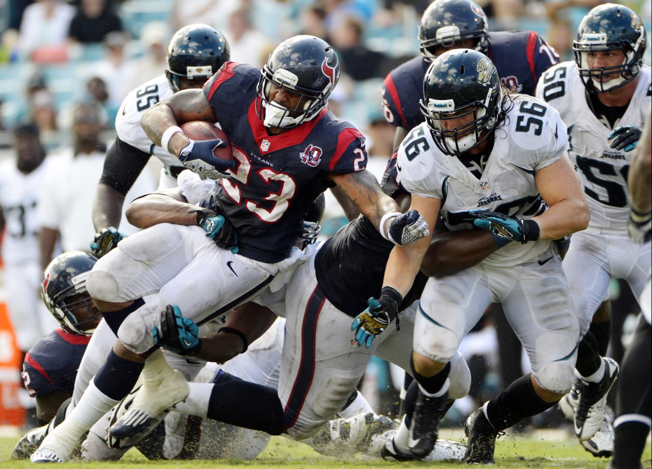 Arian Foster 2012 Stats