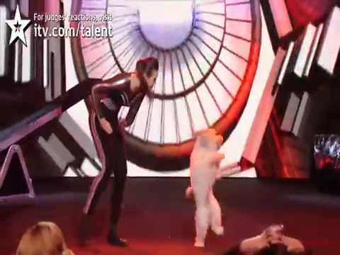 Britains Got Talent Buzzer Sound Effect