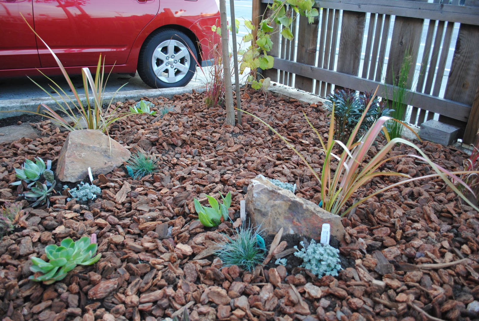 California Front Yards