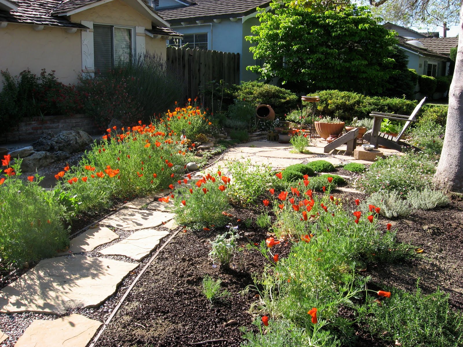 California Front Yards