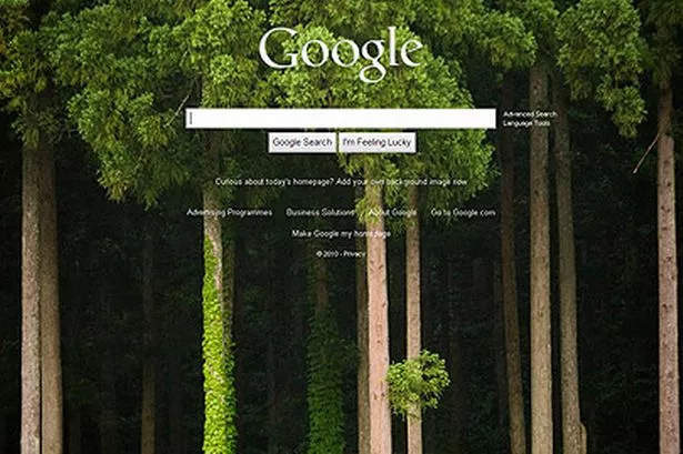 Google Search Page Background