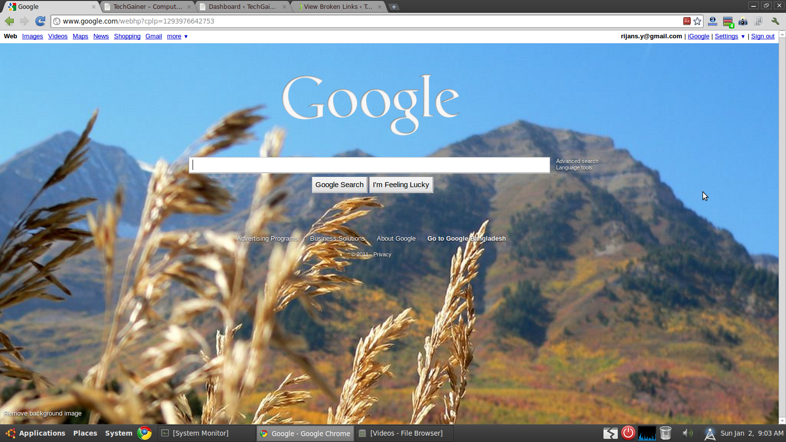 Google Search Page Background