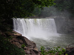 Greenup County Ky Pva