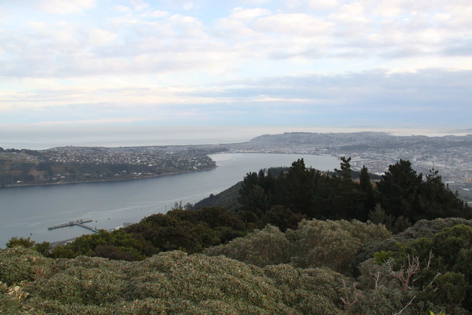 Guess Signal Hill