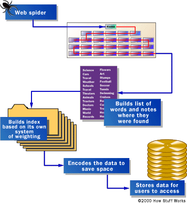 Internet Search Engines Names