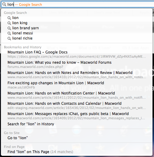 Mountain Lion Safari Google Search Bar