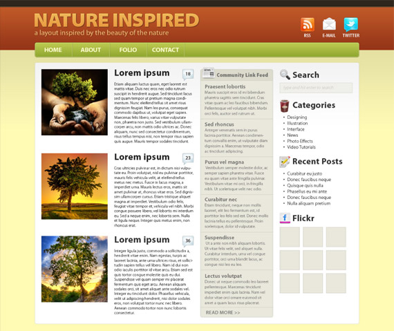 Newsletter Layout Inspiration