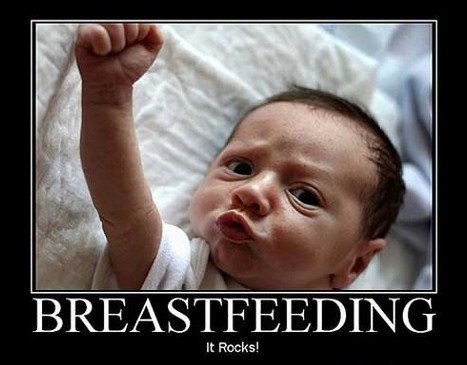 Pics Of Women Breastfeeding Animals