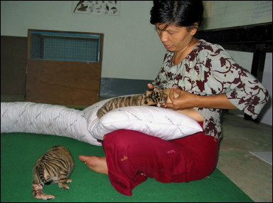 Pics Of Women Breastfeeding Animals