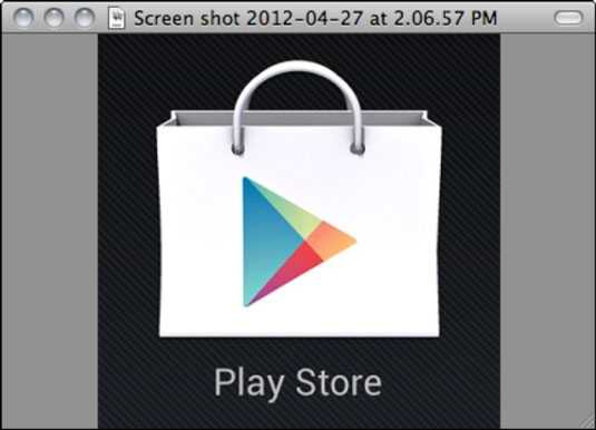 Play Store Icon