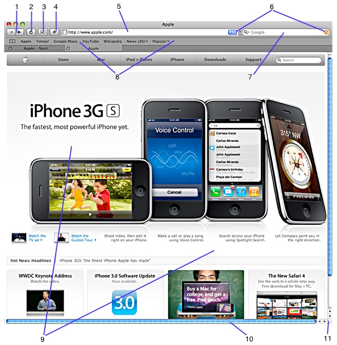 Safari Google Search Bar Problems