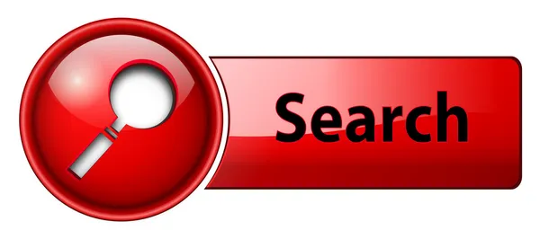 Search Button Icon