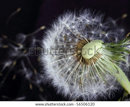 Studio Photography Background