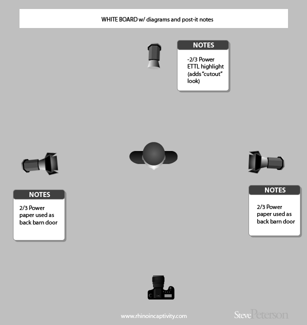 Studio Photography Lighting Setup