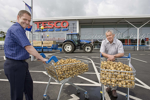 Tesco Store Manager