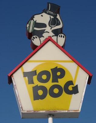 Top Dog