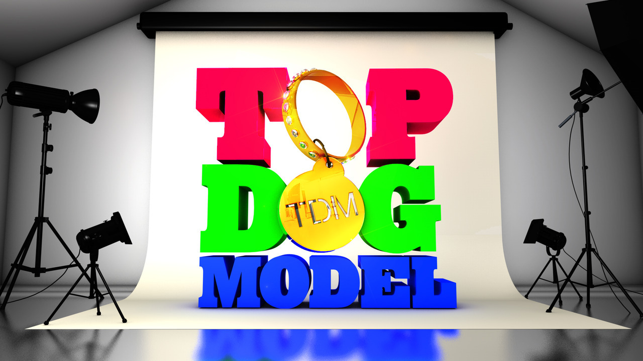 Top Dog Model Itv 2 Advert