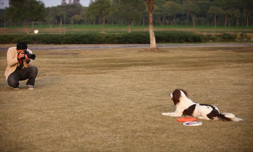 Top Dog Model Simba Greeting Card