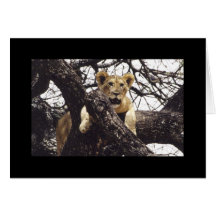 Top Dog Model Simba Greeting Card