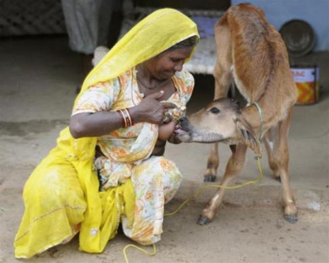 Woman Breastfeeding A Man