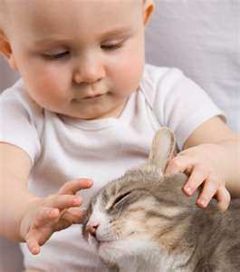 Woman Breastfeeding Cat