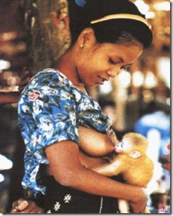 Woman Breastfeeding Monkey