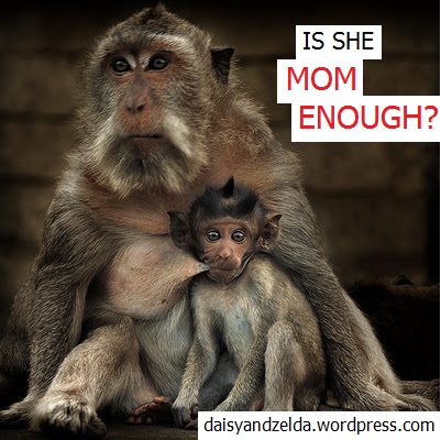 Woman Breastfeeding Monkey