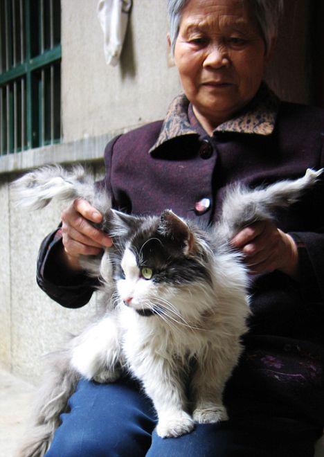 Women Breastfeeding Cats